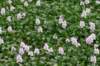 dsc08439_small.jpg