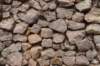 dsc08687_small.jpg