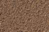 dsc08940_small.jpg