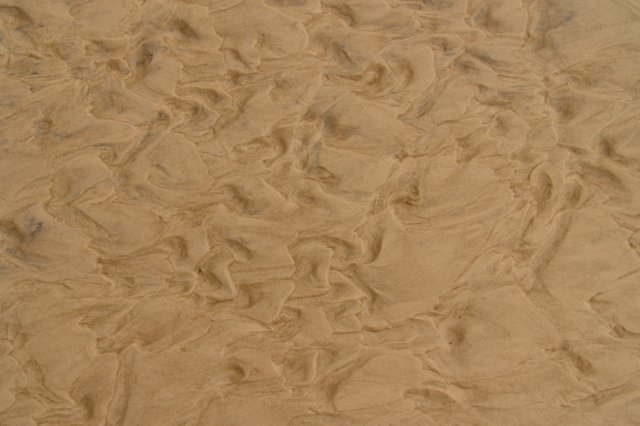 dsc09121.jpg
