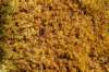 dsc09604_small.jpg