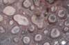 dsc09635_small.jpg
