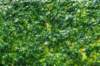 dsc09963_small.jpg