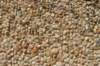 dsc10007_small.jpg