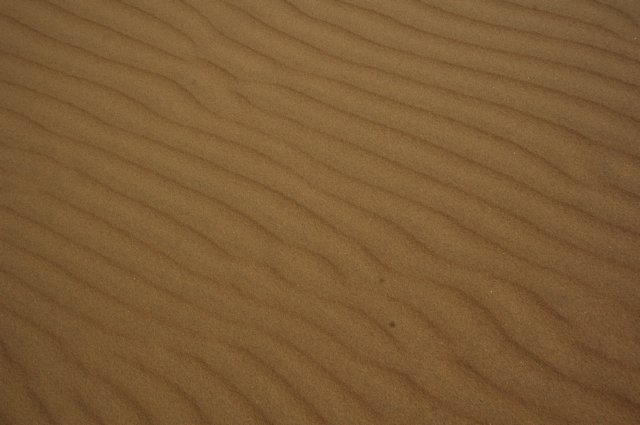 dsc_2786j.jpg